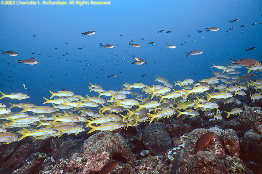 Sao Tome e Principe Photo Gallery